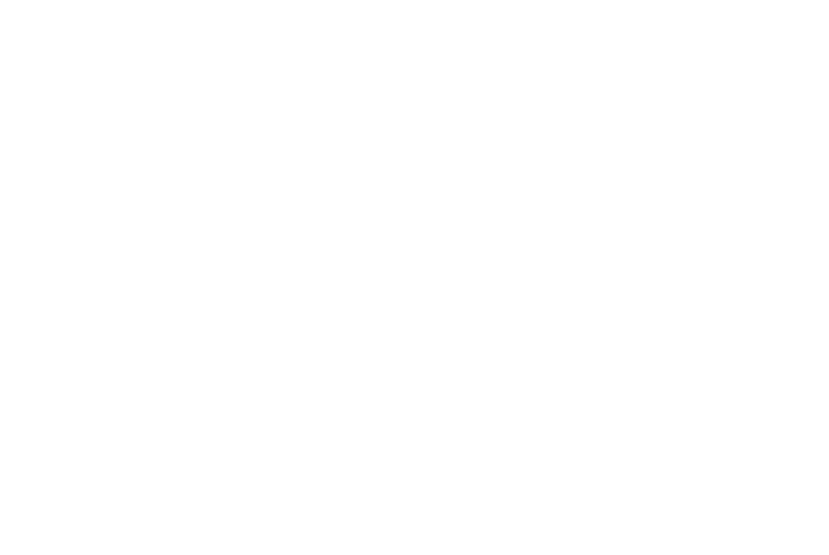 Physio Amsterdam Logo wit